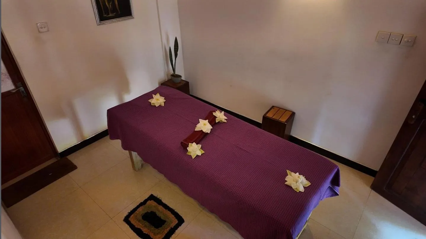 Harmony Haven Ayurvedic Luxury Spa Habarana 0*,